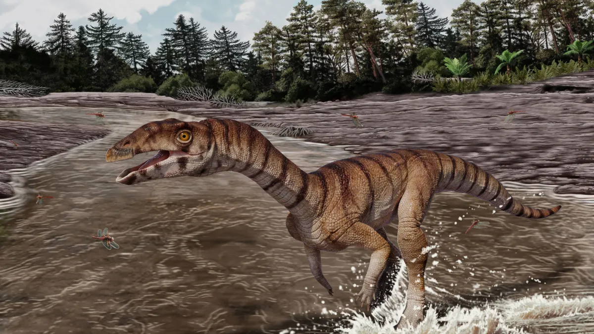 New Species of Bizarre, Bipedal, Toothless Crocodile Relative from